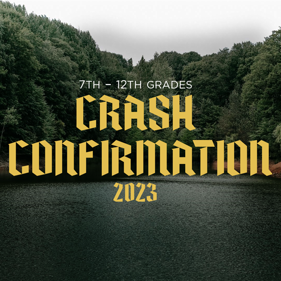 Crash Confirmation